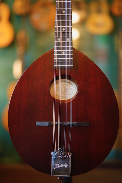 kentucky mandolin neck kentucky mandolin neck