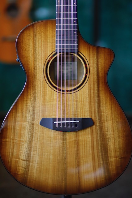 breedlove 12 string guitar