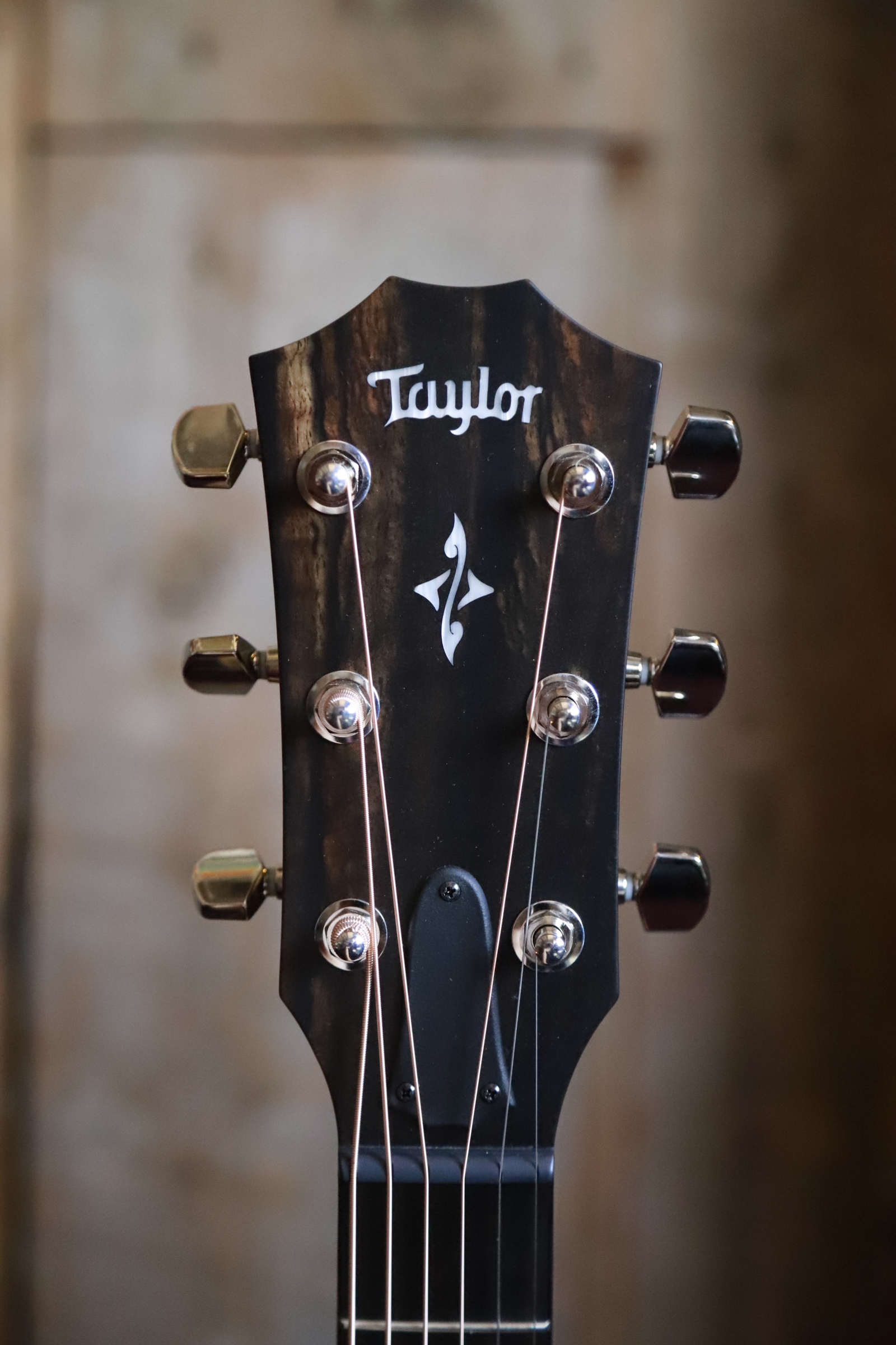 Taylor 417e-R – McCabe's Guitar Shop