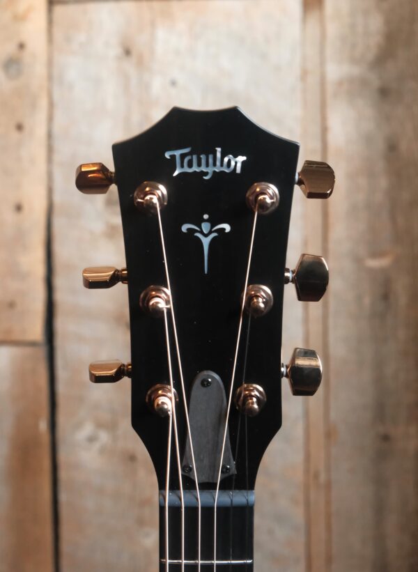 Taylor 724ce Koa - Image 2