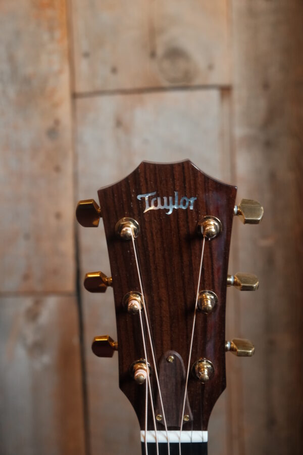 Taylor Legacy 514 - Image 2